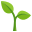 :seedling: 🌱