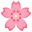 🌸 🌸