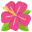 🌺 🌺