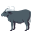 🐃 🐃
