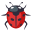 🐞 🐞