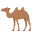 🐫