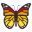 🦋 🦋