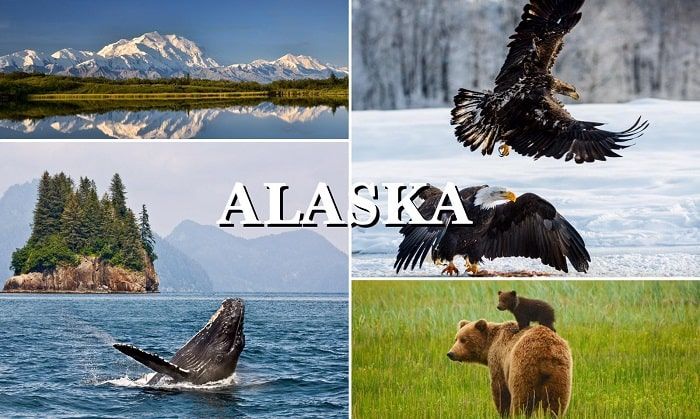 Аляска 4 буквы. 4x4 Alaska forum.
