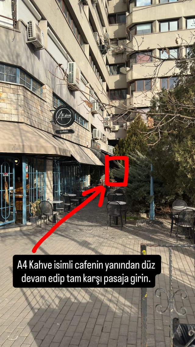 image.jpeg